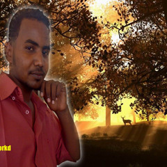 خالد الصحافة م