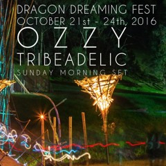 Ozzy Dragon Dreaming Sunday Morning
