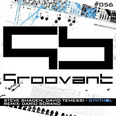 David Temessi & Steve Shaden - Synthol (Original Mix) [GROOVANT]
