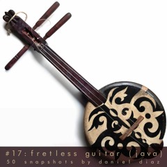 Snapshot 17 Java Fretless Guitar