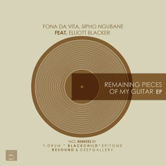Remaining Pieces Of My Guitar feat. Elliot Blacker(DeepGallery Remix)