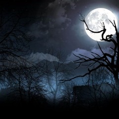 Chilling in the Dark
