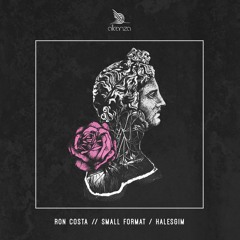 Ron Costa - Small Format [Alleanza]