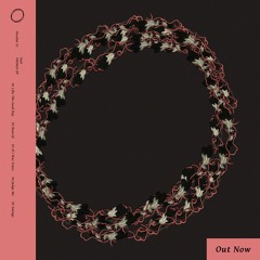 02 Guti - Rawcid - DESOLAT 051