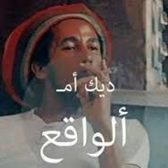 الشواكيش في (الوراق)