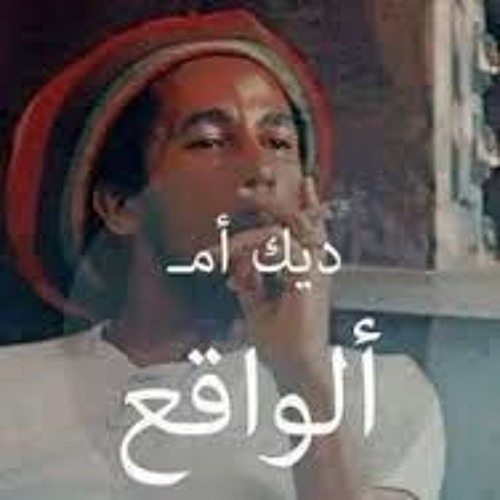 الشواكيش في (الوراق)