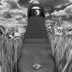 High Roller - Back Pressure (Premium Remix)