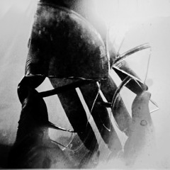 Has A Shadow - The Flesh