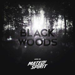 Mateo & Spirit - Black Woods
