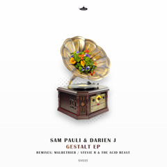 Premiere: Sam Pauli & Darien J - Gestalt [Submarine Vibes]