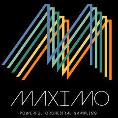 Maximo Demo - To The Max - By Reuben Cornell