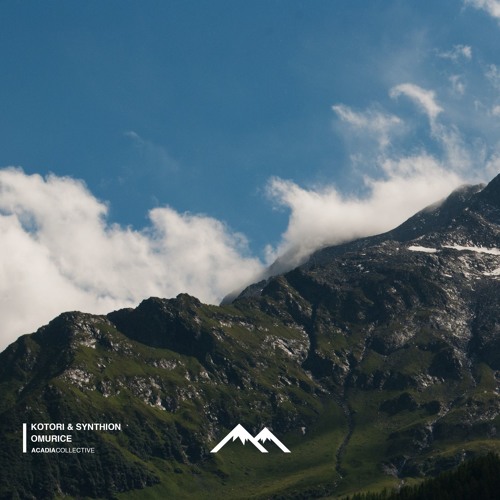 Kotori & Synthion - Omurice