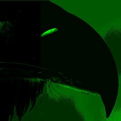 Beak - What Sound (clip)