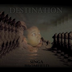 Singa Bromfield - Destination