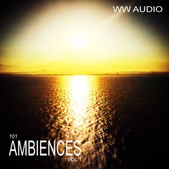 101 Ambiences Vol 1 Demo