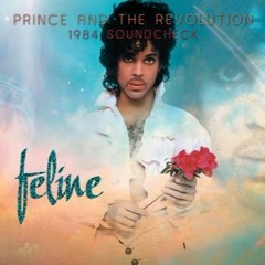 Prince - Feline (1984 soundcheck - 22 minutes Edit)