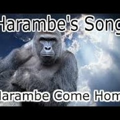 Harambe Come Home