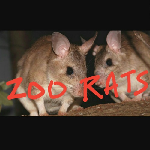 Stream ZOO RATS -RM1- IG.mp3 by da_real_kmo | Listen online for free on