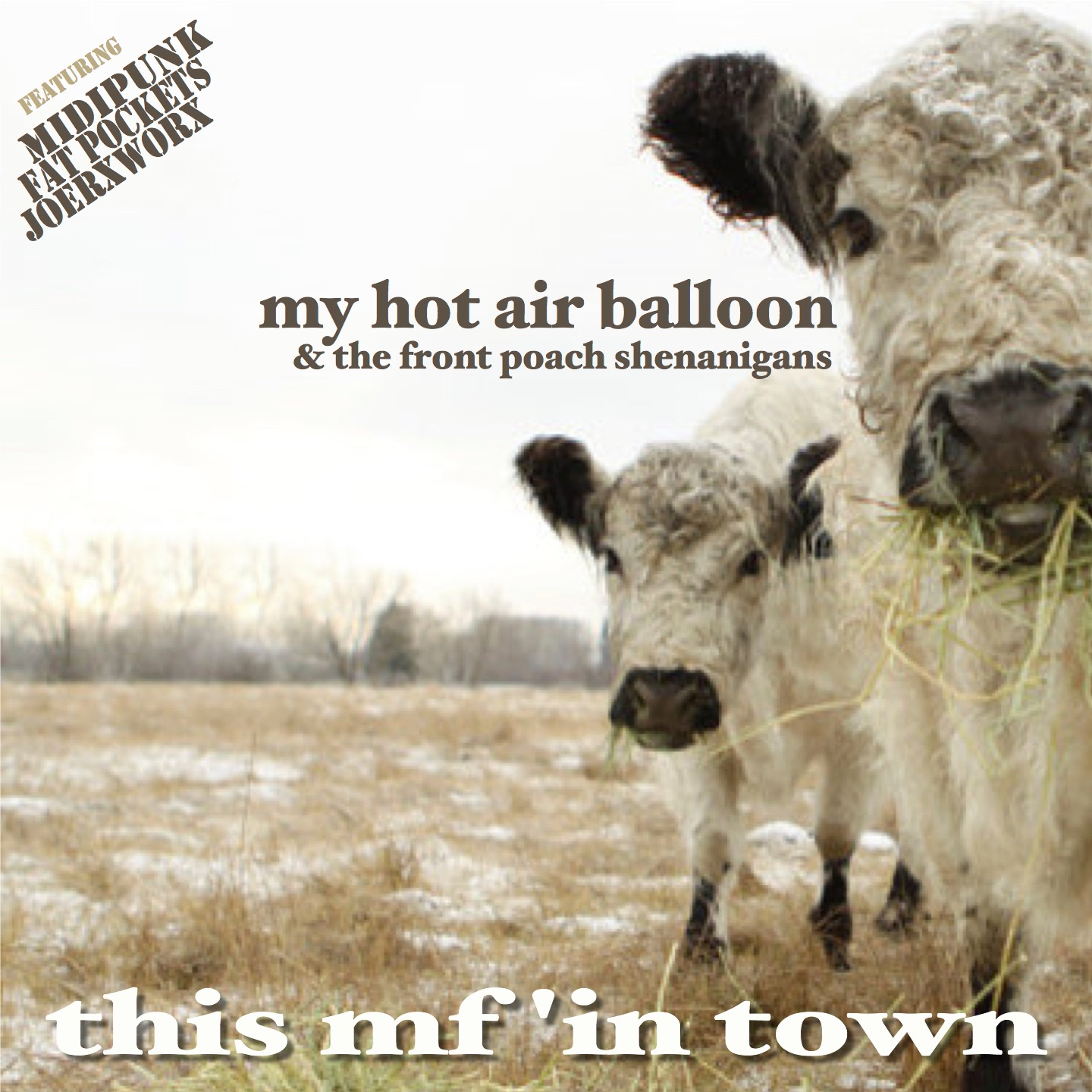 My Hot Air Balloon & The Front Poach Shenanigans - This Mf'in Town episode artwork