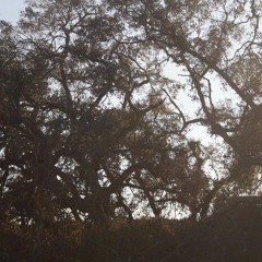 Jason Crook- I'm Not A Bad Person  Just Give Me Time[Remix]