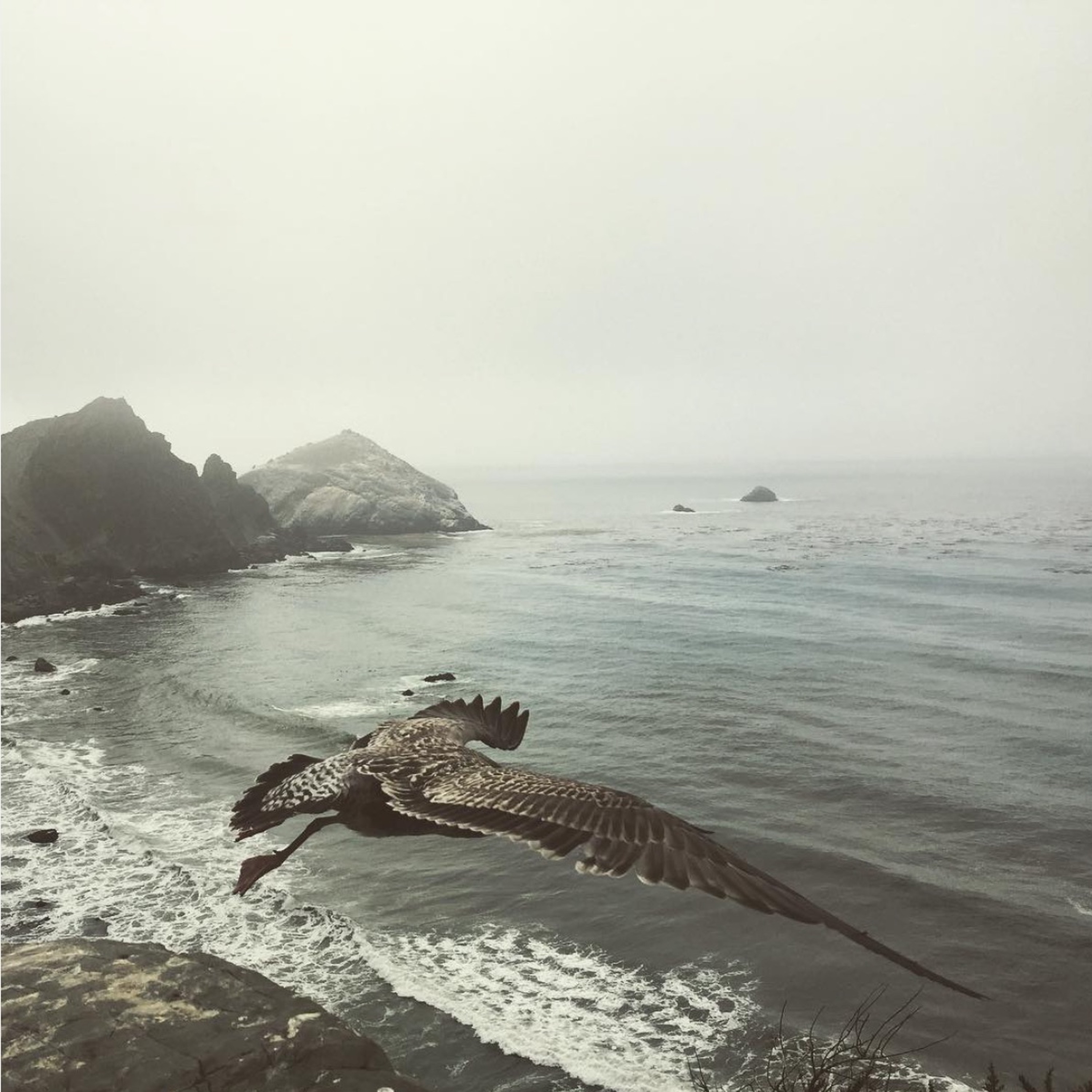 Warm Focus 45: This Bird Has Flown episode artwork