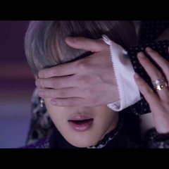 BTS - Blood Sweat & Tears (Instrumental / karaoke)