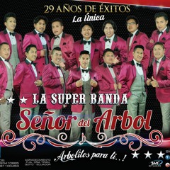 La Super Banda Señor Del Arbol-Fiesta De San Juan (vol 6) "Arbolitos Orquesta"