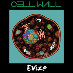 Cell Wall