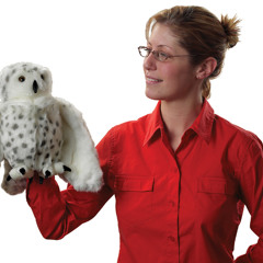 educationrap prod. snowy