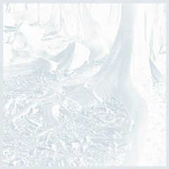 Ventuno Costellazioni Invisibili_SideB_excerpt