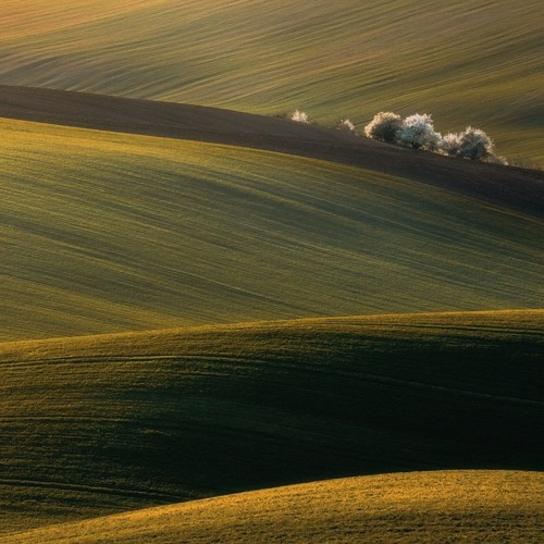 A While By The Hillside