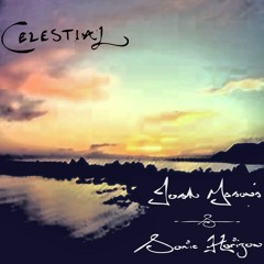 Josh Mason's Sonic Horizon - The Space Elevator