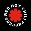 Red Hot Chilli Peppers Can T Stop Mp3