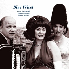 CALIFORNIA DREAMIN' / HAZY SHADE OF WINTER - Blue Velvet