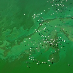 Land (2016) for orchestra