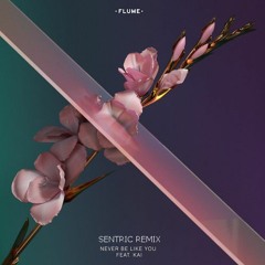 FLUME - Never Be Like You ft. Kai (SENTRIC Remix)