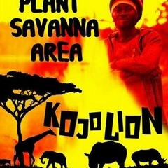 4 : JAH WARRIORS BY KOJO LION & OLEG SALEG PLANT SAVANNA AREA / 2016