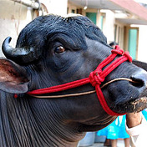 DAGA-DAGA-DEPALA-JATHARA-2K16-SONG-[SADAR-SPCL]-MIX-BY-DEEJ-NANI-SMILY-FROM-A-M-E-R-P-T