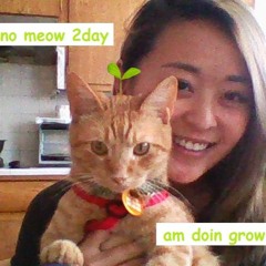 no meow 2day, am doin a grow