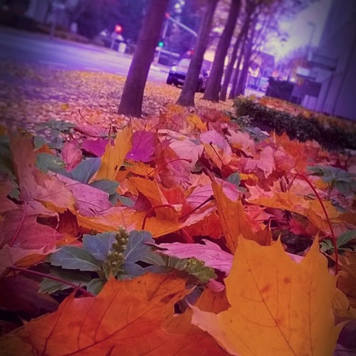 DJ Casspar - Houzer - Autumn Mix 2016