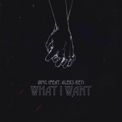 What I Want (feat. Aleks Rey)