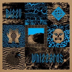 Dizzy Whizzards Album Snippet