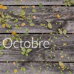 Playlist Octobre