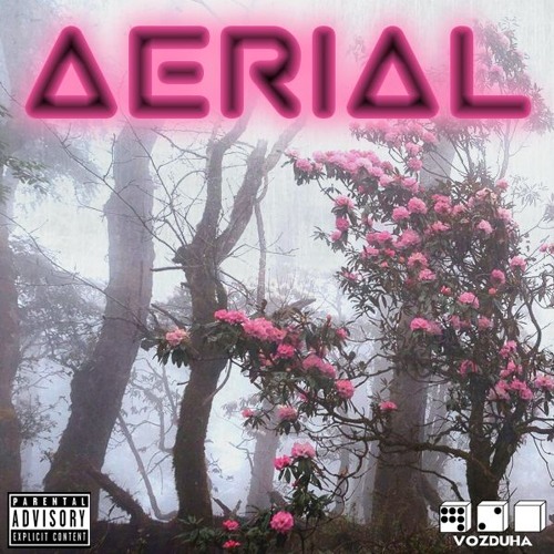 AERIAL (2016) 720vozduha