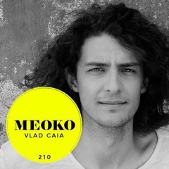 Vlad Caia – Exclusive MEOKO Podcast #210