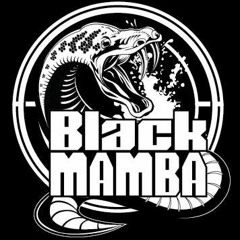 The Freaky Bastard VS. Black Mamba -  Hardcore Vandal