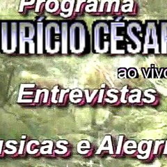 Zuerinha Básica