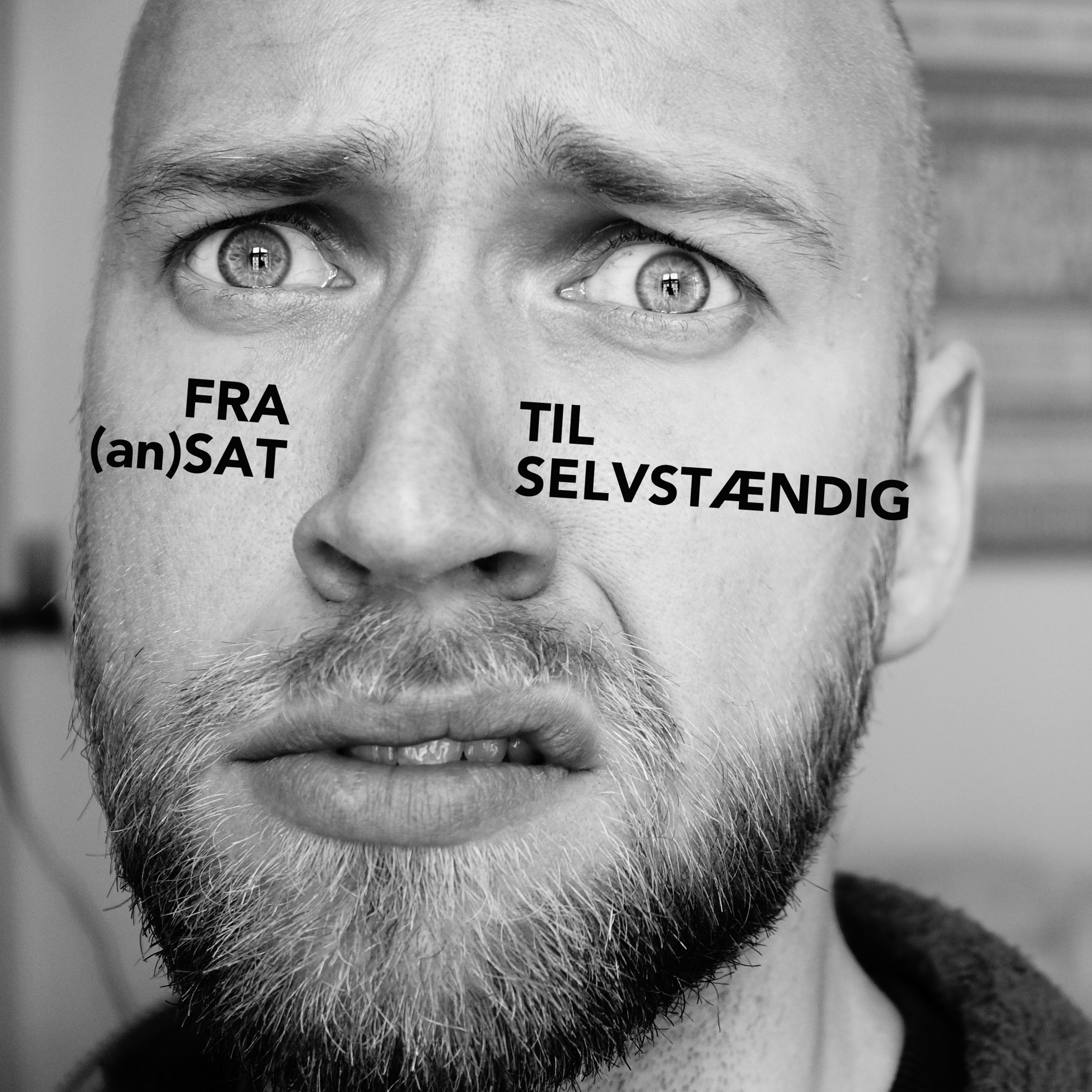 Fra (an)sat Til Selvstændig - Episode 04 episode artwork