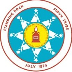 Standing Rock:  A Report From CB Protestors