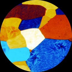 PREMIERE : Golden Retriever - Everglow National [OMENA Records]